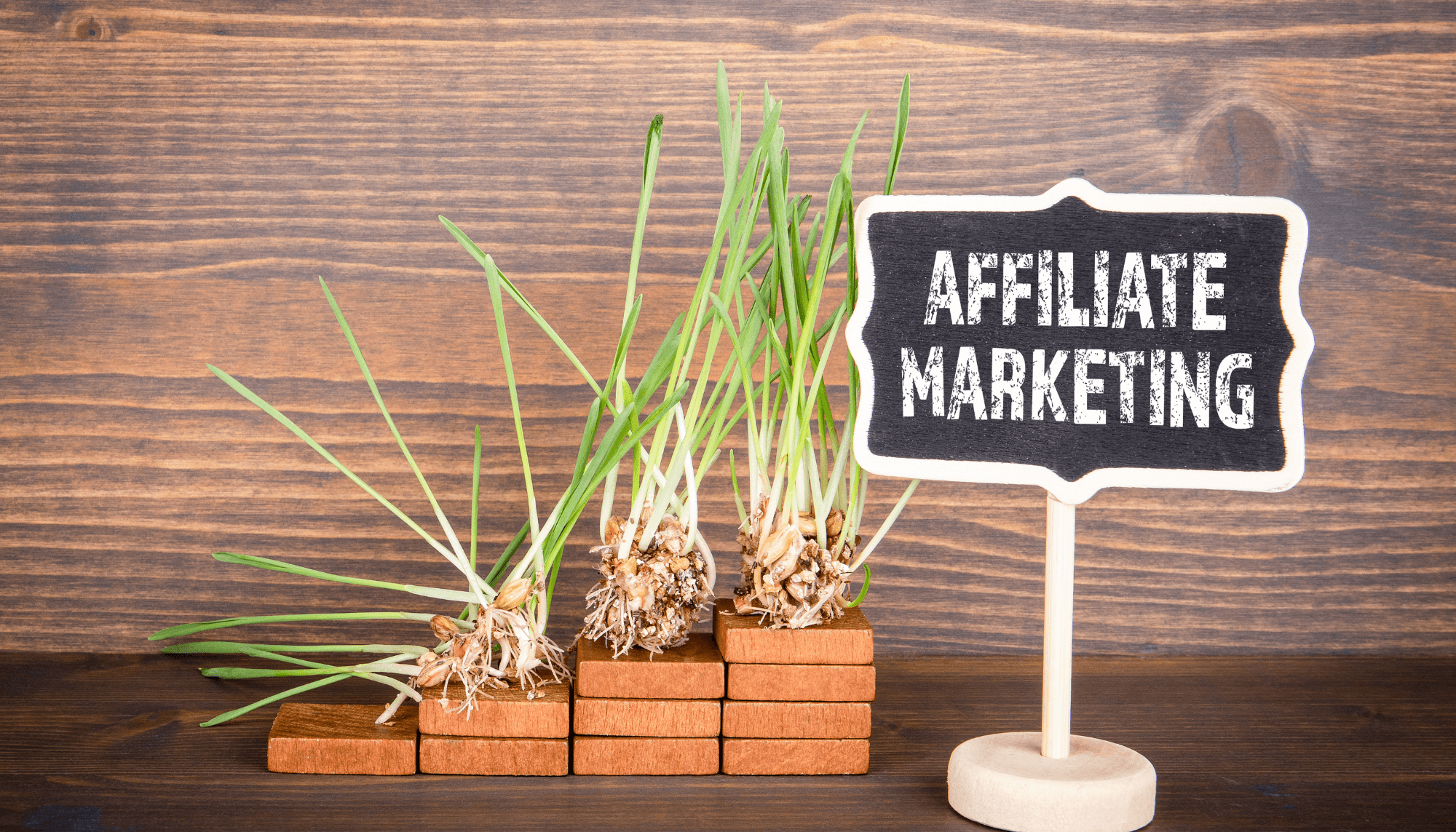 Affiliate Marketing